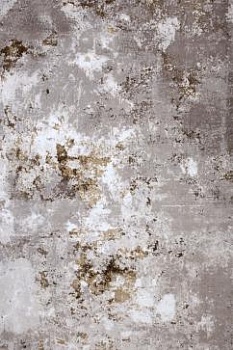 Серый ковер в стиле лофт с коротким ворсом Ориенталь